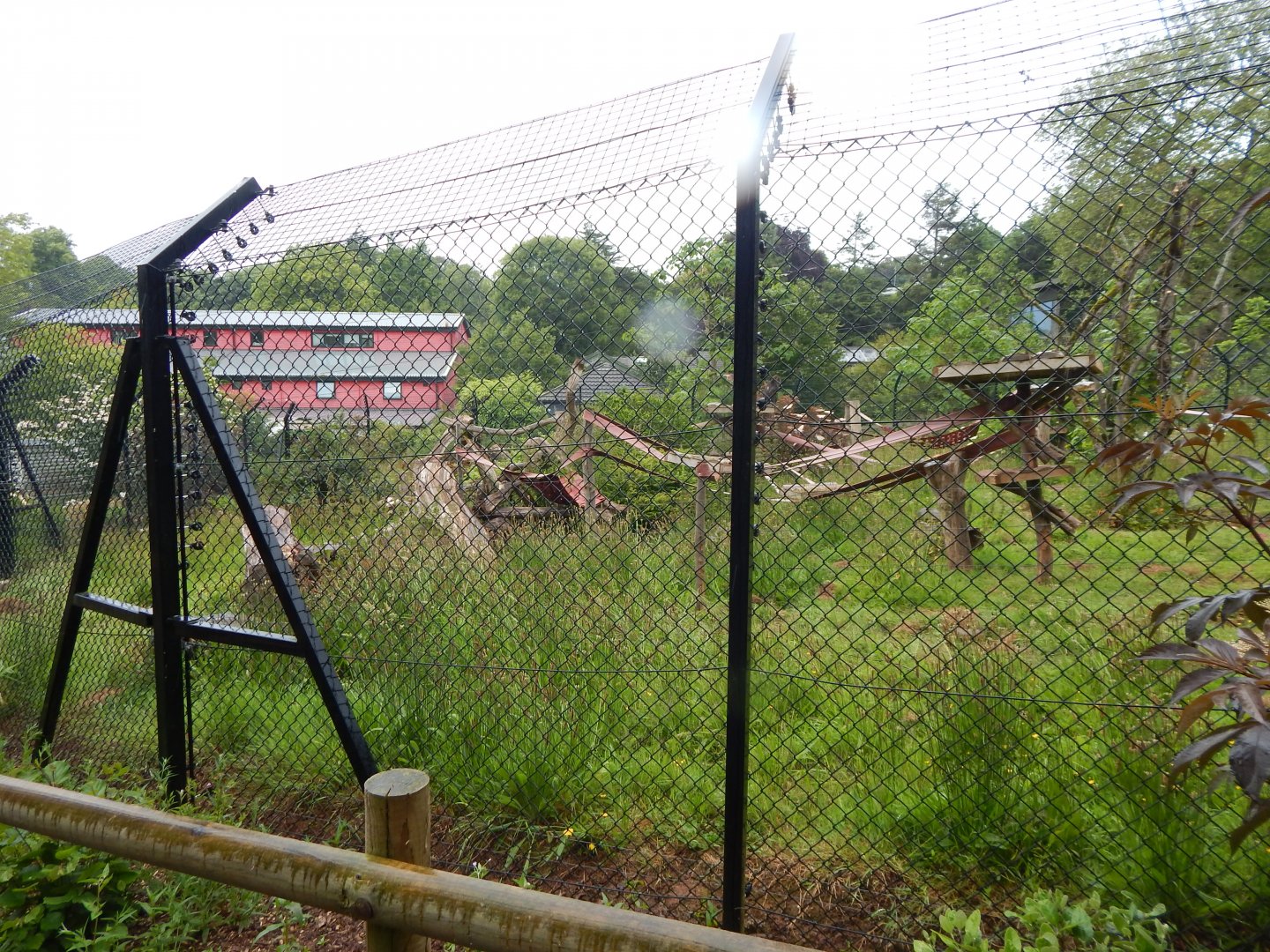 Mandrill exhibit 130624