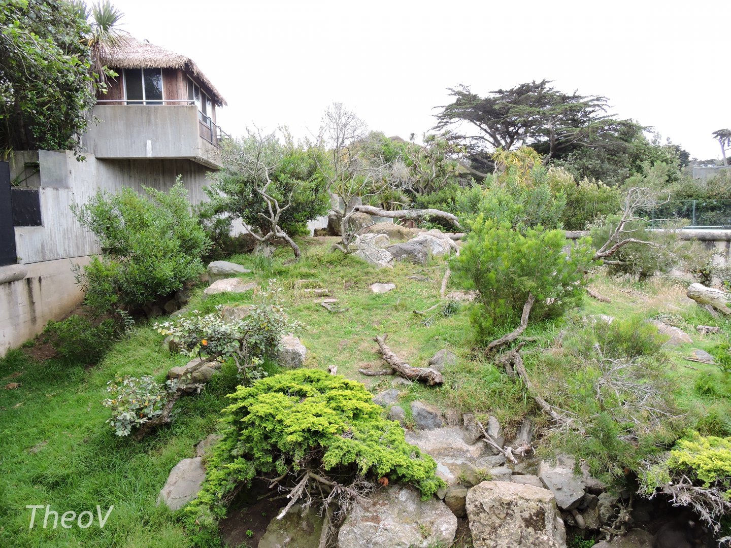 Mandrill  exhibit [2015]