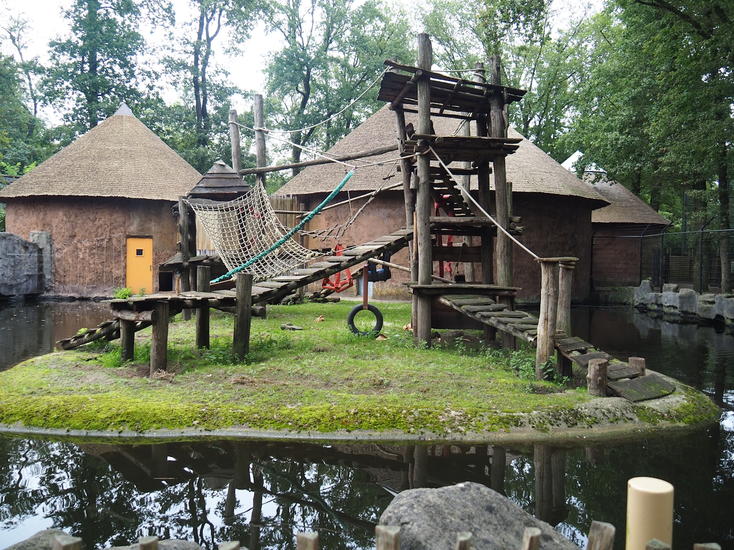 Mandrill exhibit, 2023-08-17