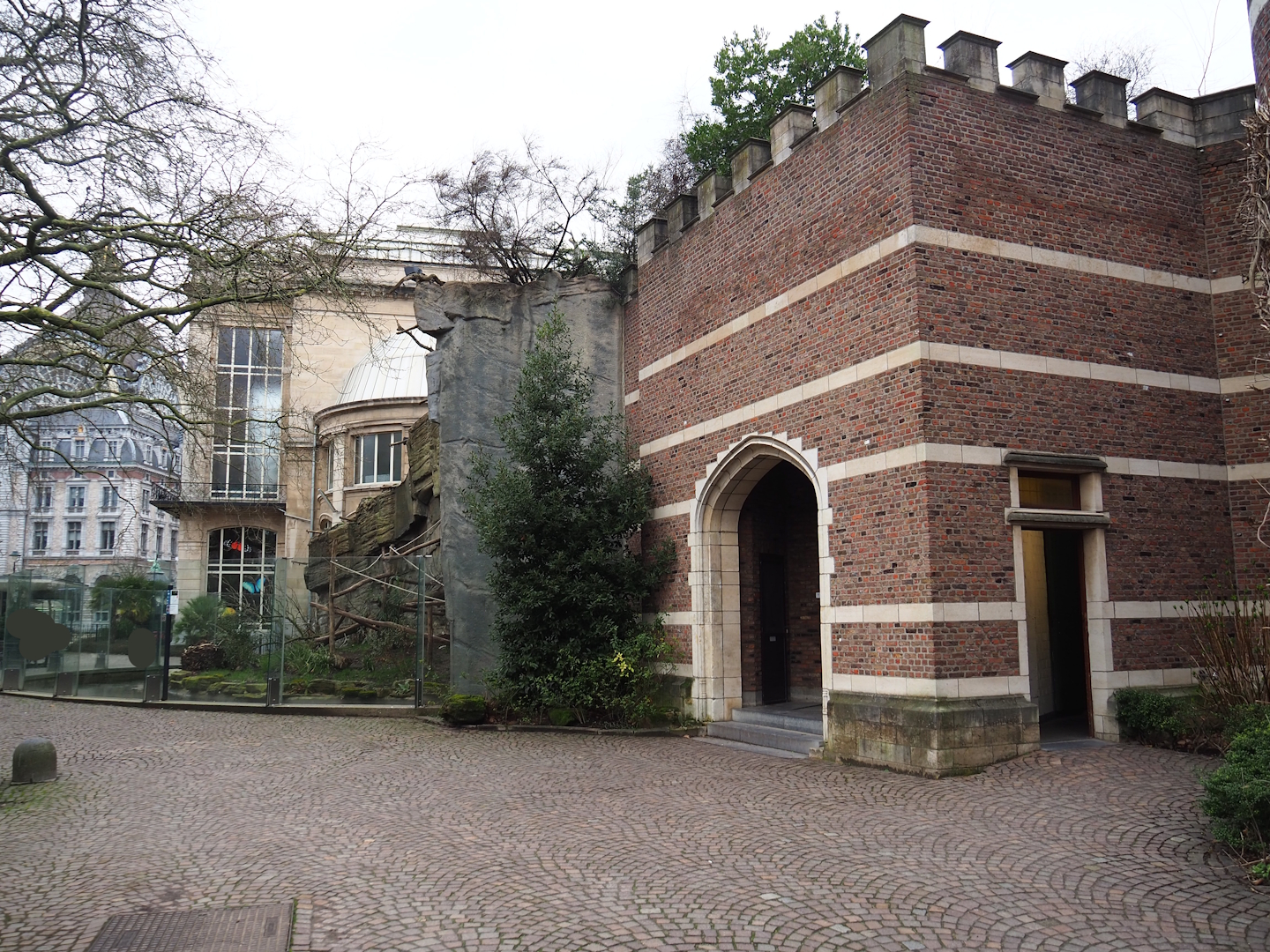 Mandrill exhibit and exit of the Small Monkey House, 2024-02-17