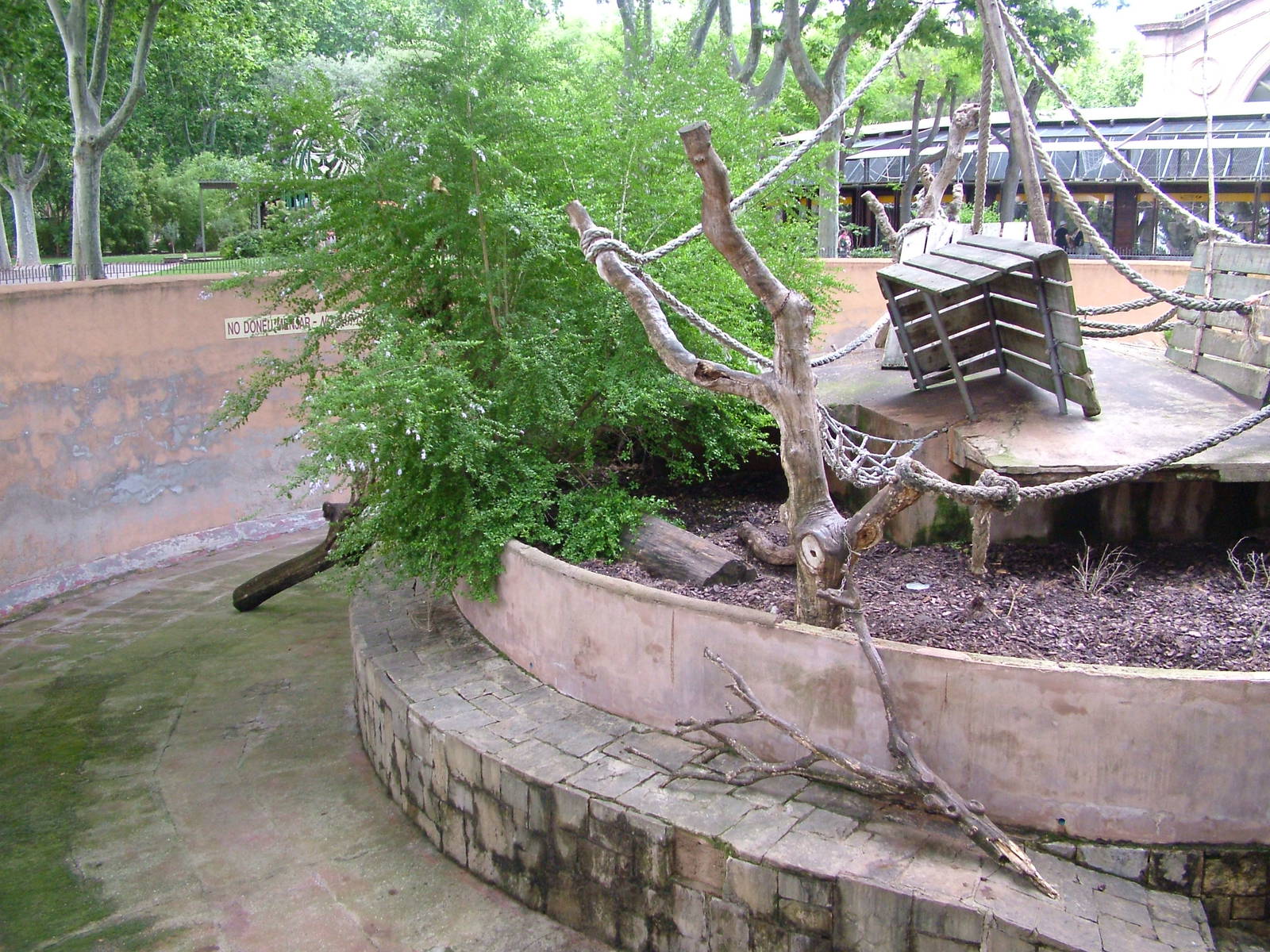 Mandrill Exhibit at Barcelona, 30/05/11