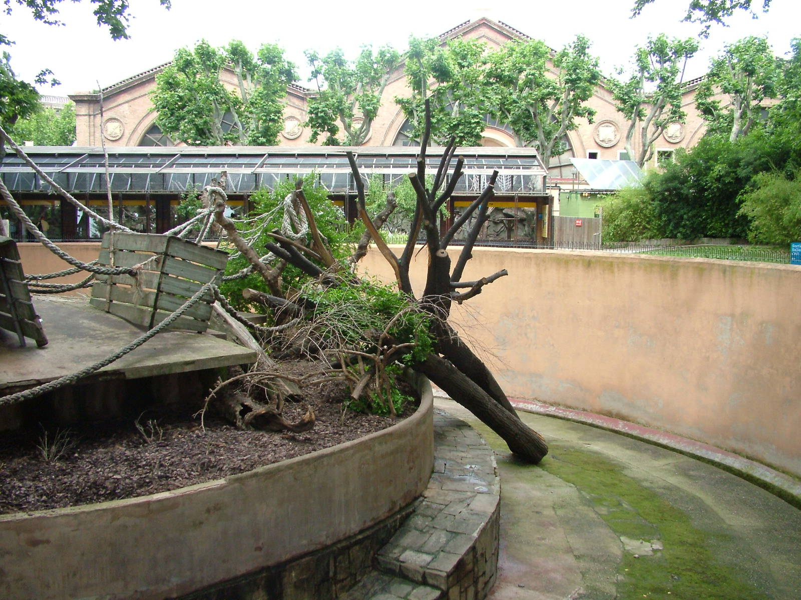 Mandrill Exhibit at Barcelona, 30/05/11