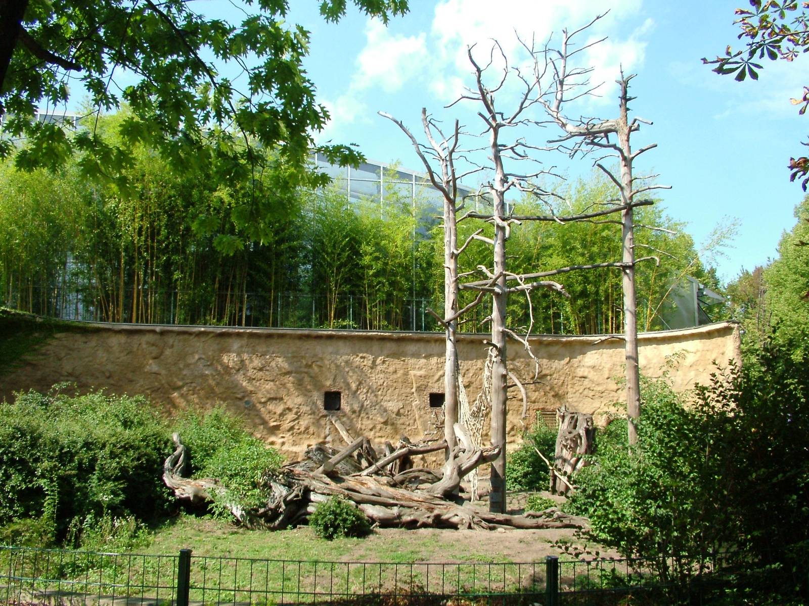 Mandrill Exhibit at Dresden, 29/08/12