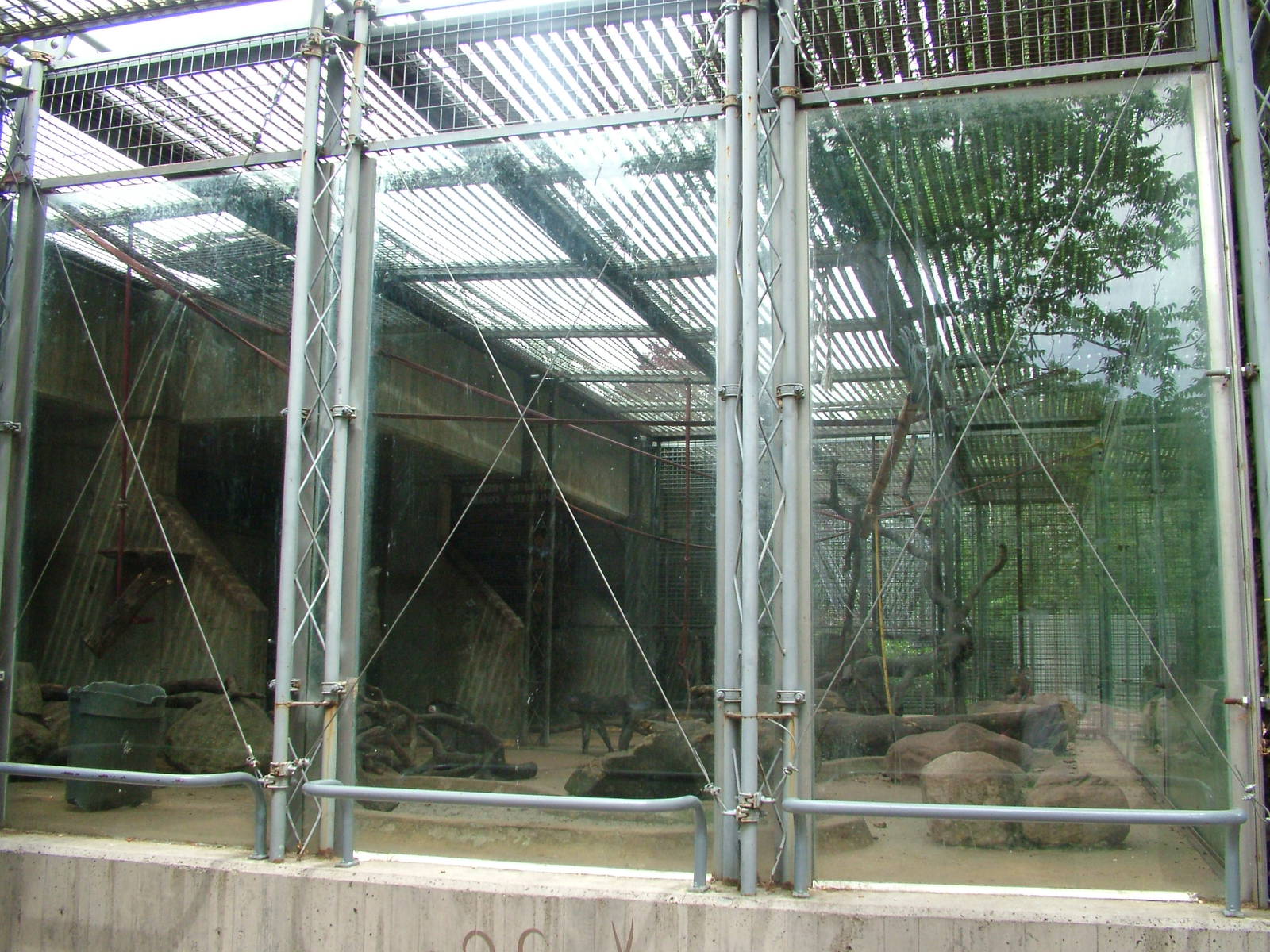 Mandrill Exhibit at Madrid Zoo Aquarium, 26/05/11