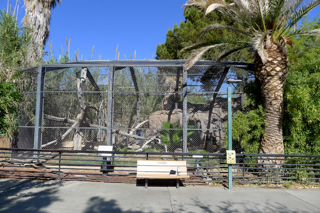 mandrill exhibit (for now)