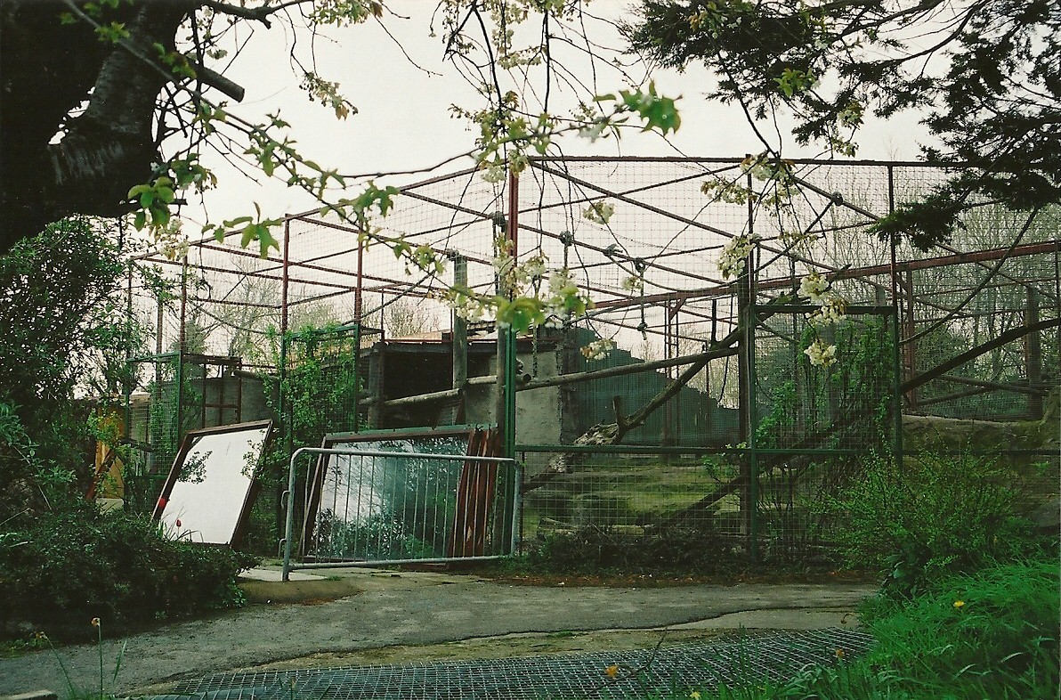 Mandrill exhibit partly demolished 16th April 2004