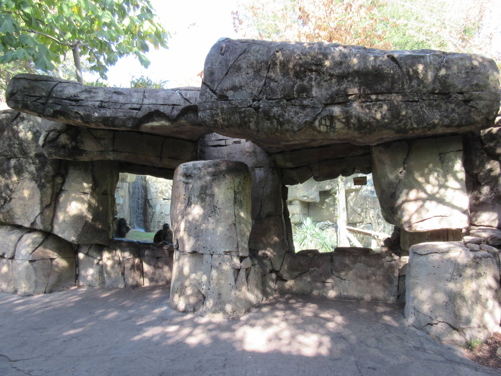 Mandrill Exhibit - Viewing Windows