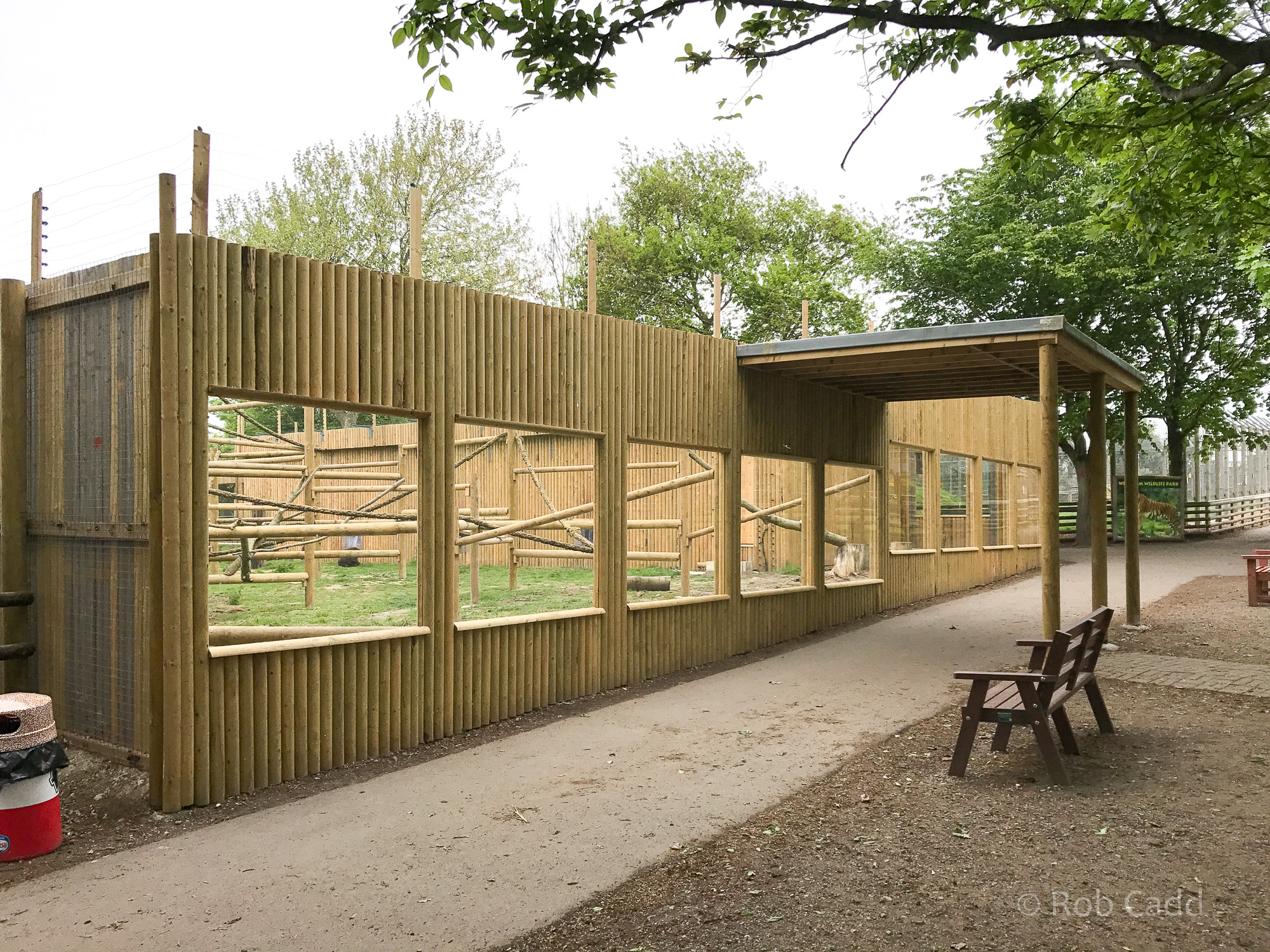 Mandrill exhibit : Wingham : 06 May 2017