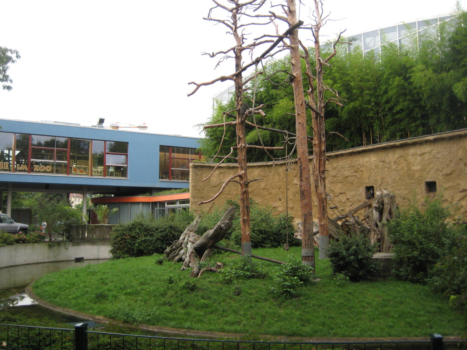 Mandrill Exhibit with zoo Main entrance