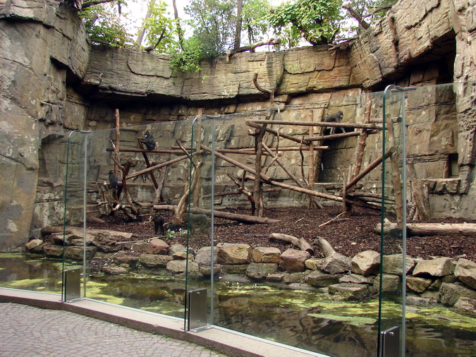 Mandrill exhibit