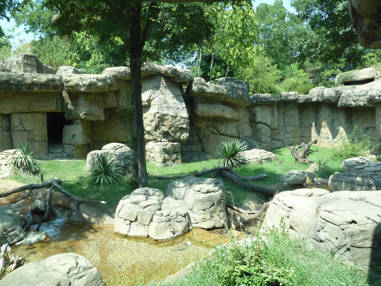 Mandrill Exhibit