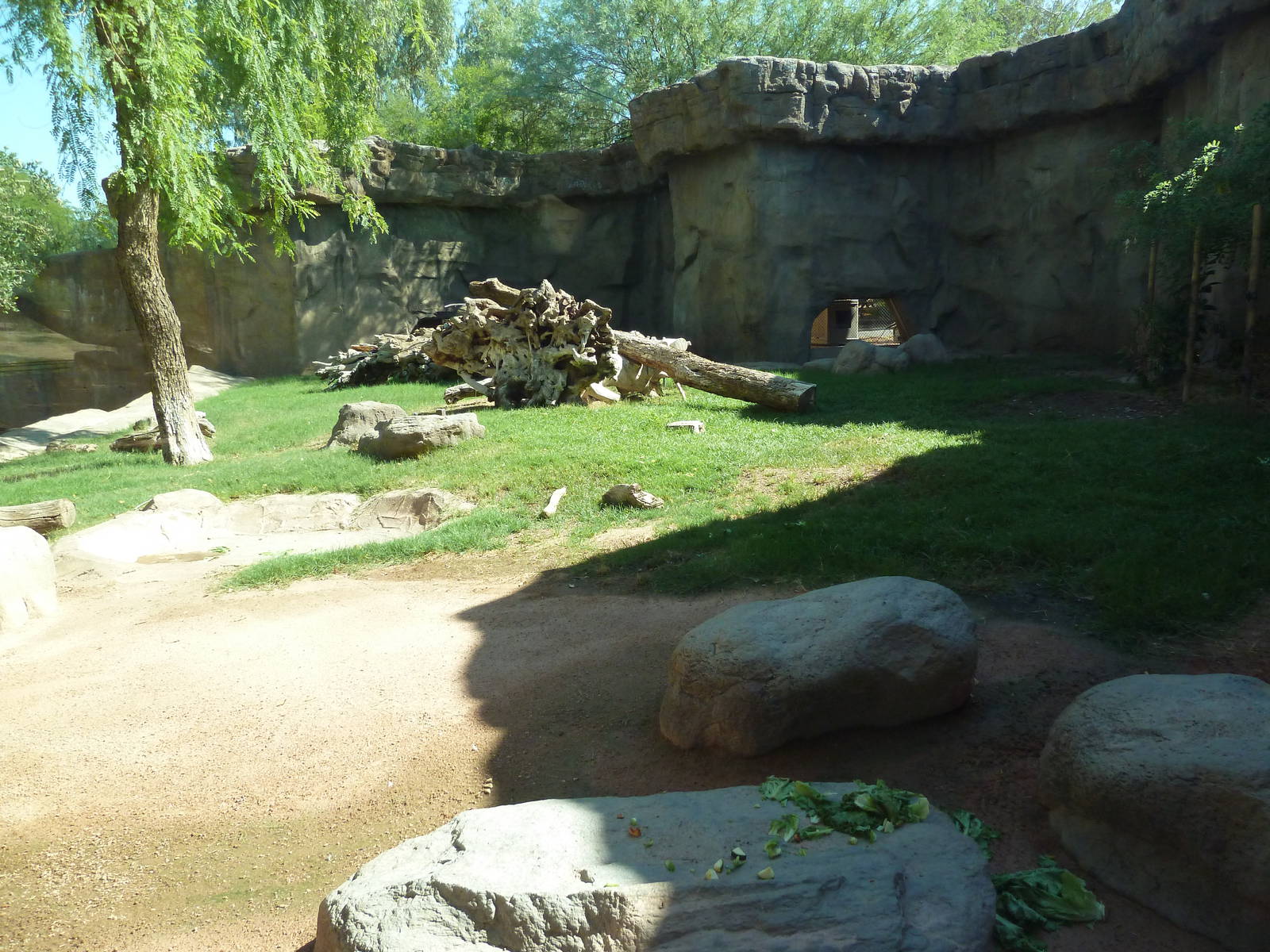 Mandrill Exhibit
