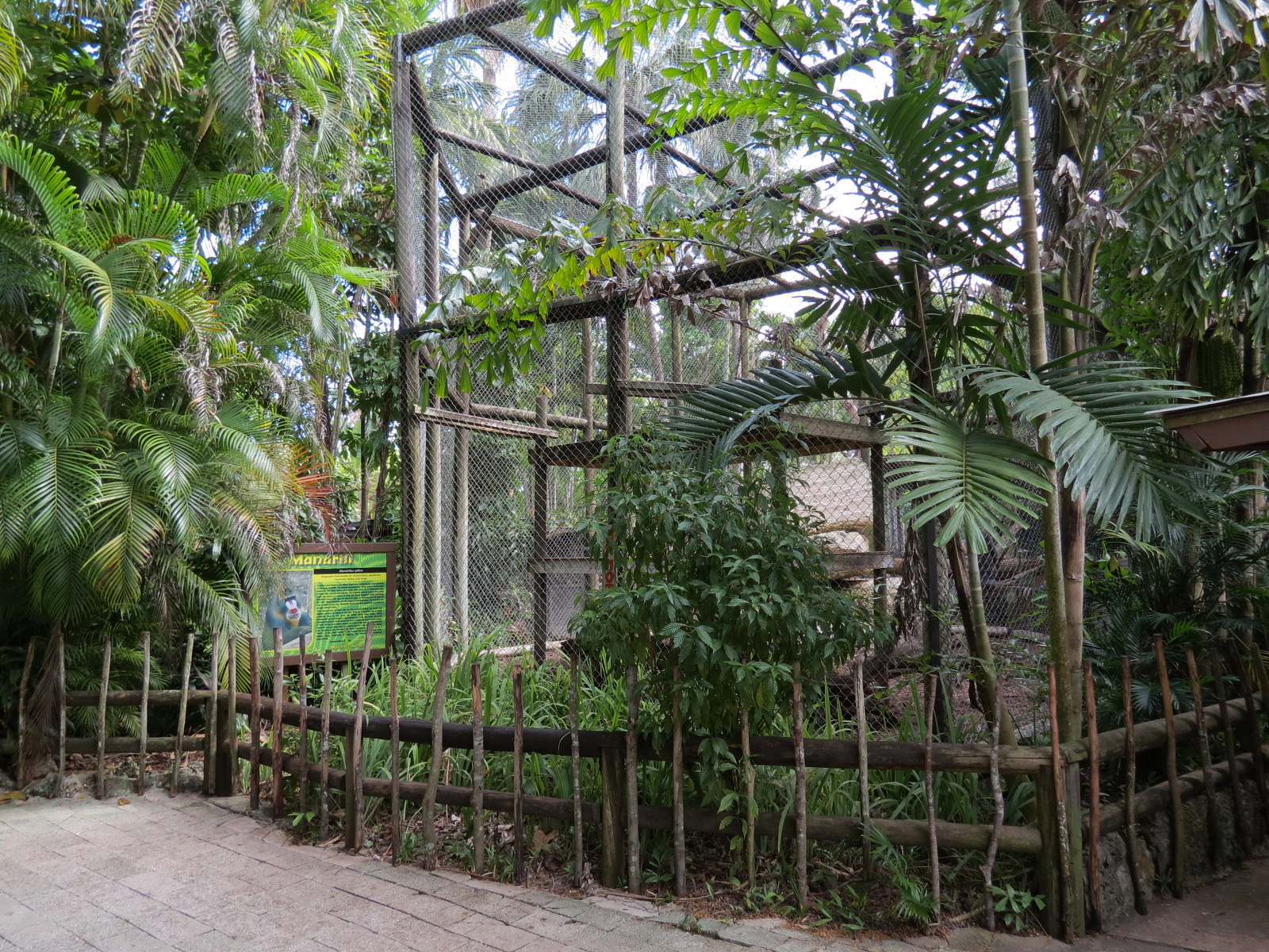Mandrill Exhibit