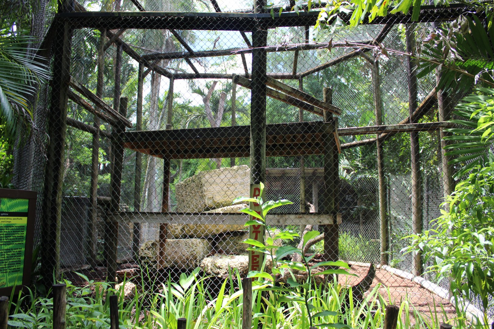 Mandrill Exhibit