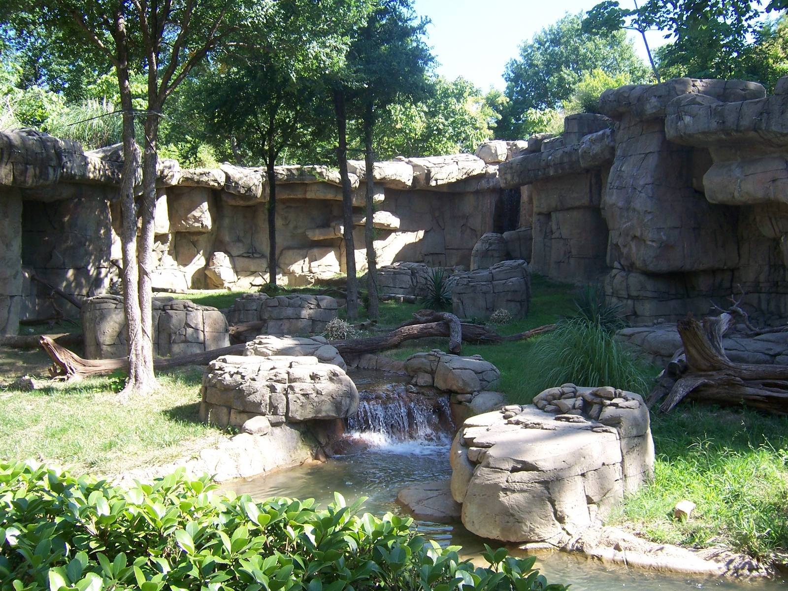 Mandrill habitat