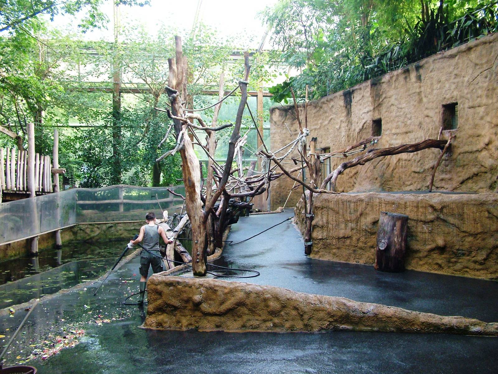 Mandrill Indoor Enclosure at Dresden, 29/08/12