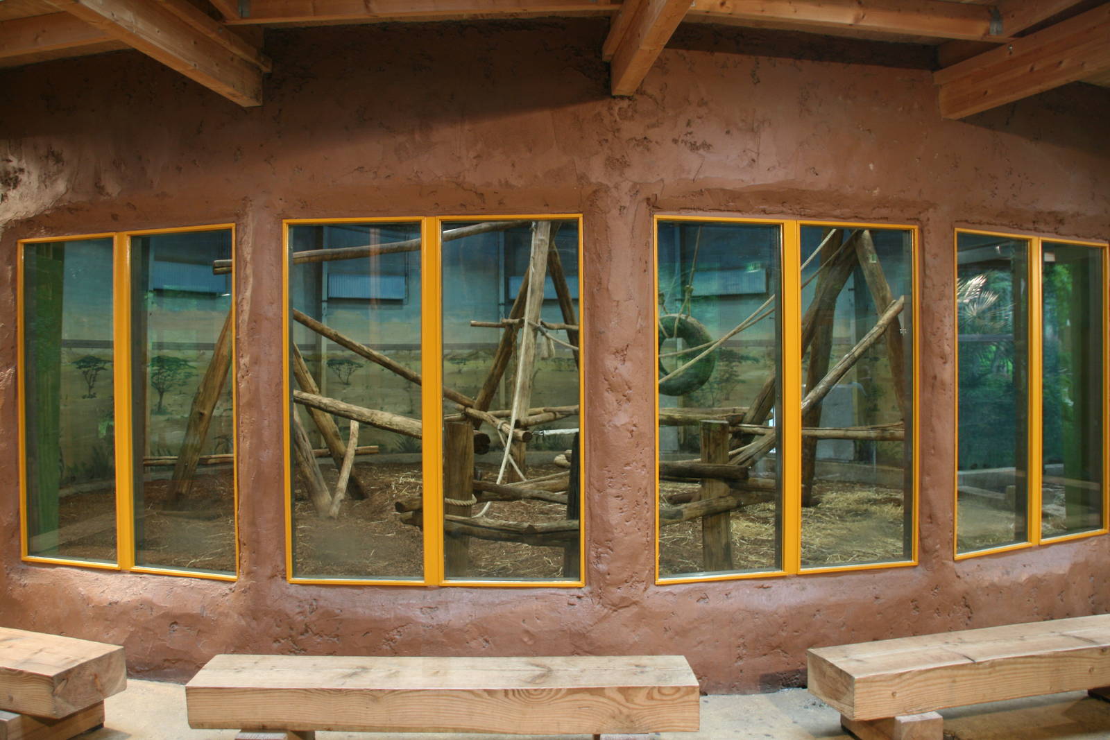 Mandrill indoor enclosure