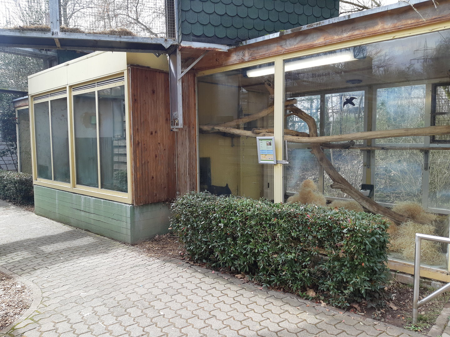 Mandrill indoor exhibit - Zoo Saarbrücken