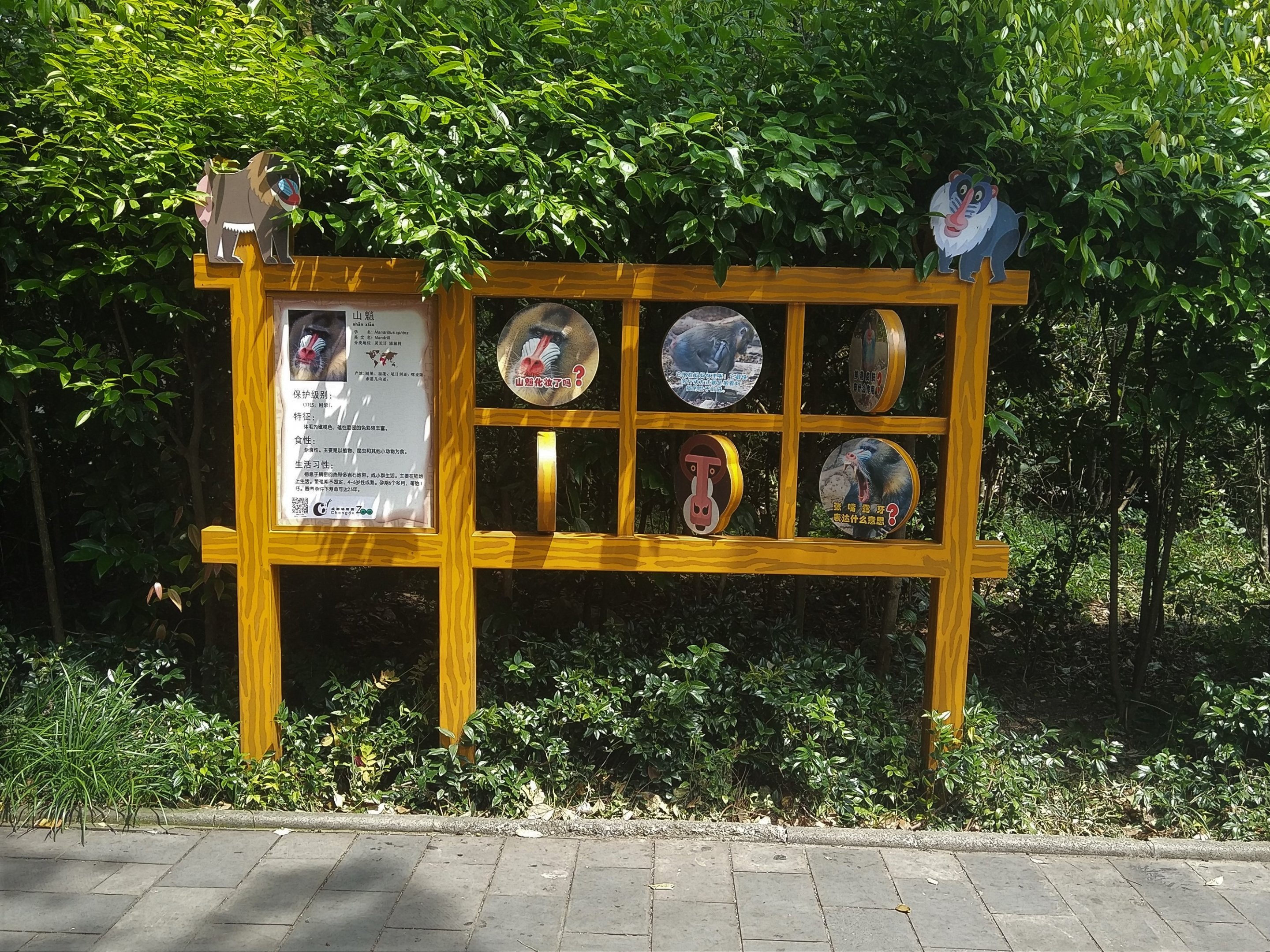 Mandrill Interpretation