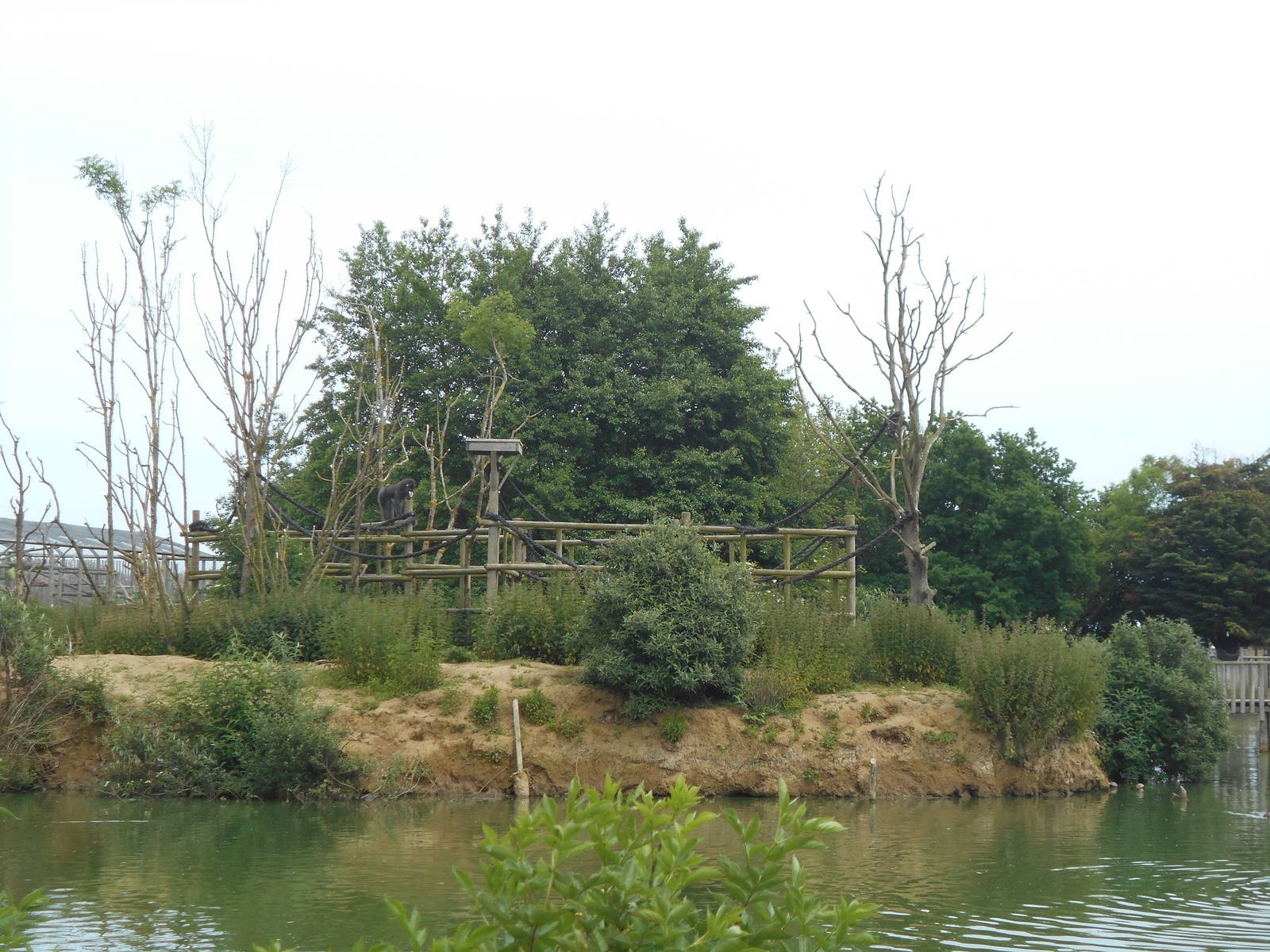 Mandrill Island - 10/06/2016