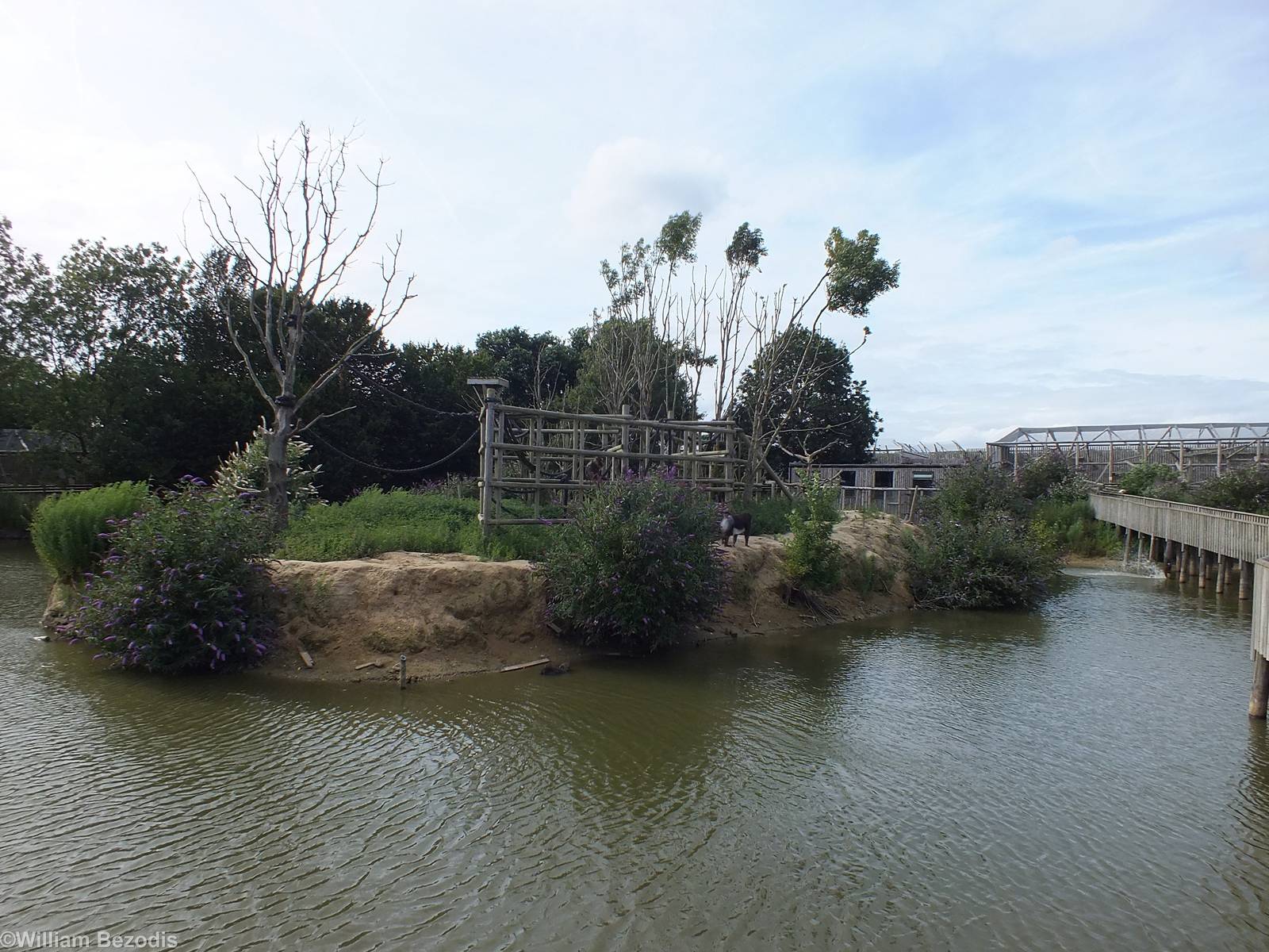 Mandrill Island on Lake