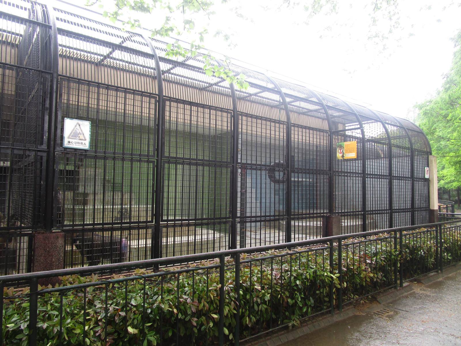 Mandrill Outdoor Enclosure - 16/04/2016