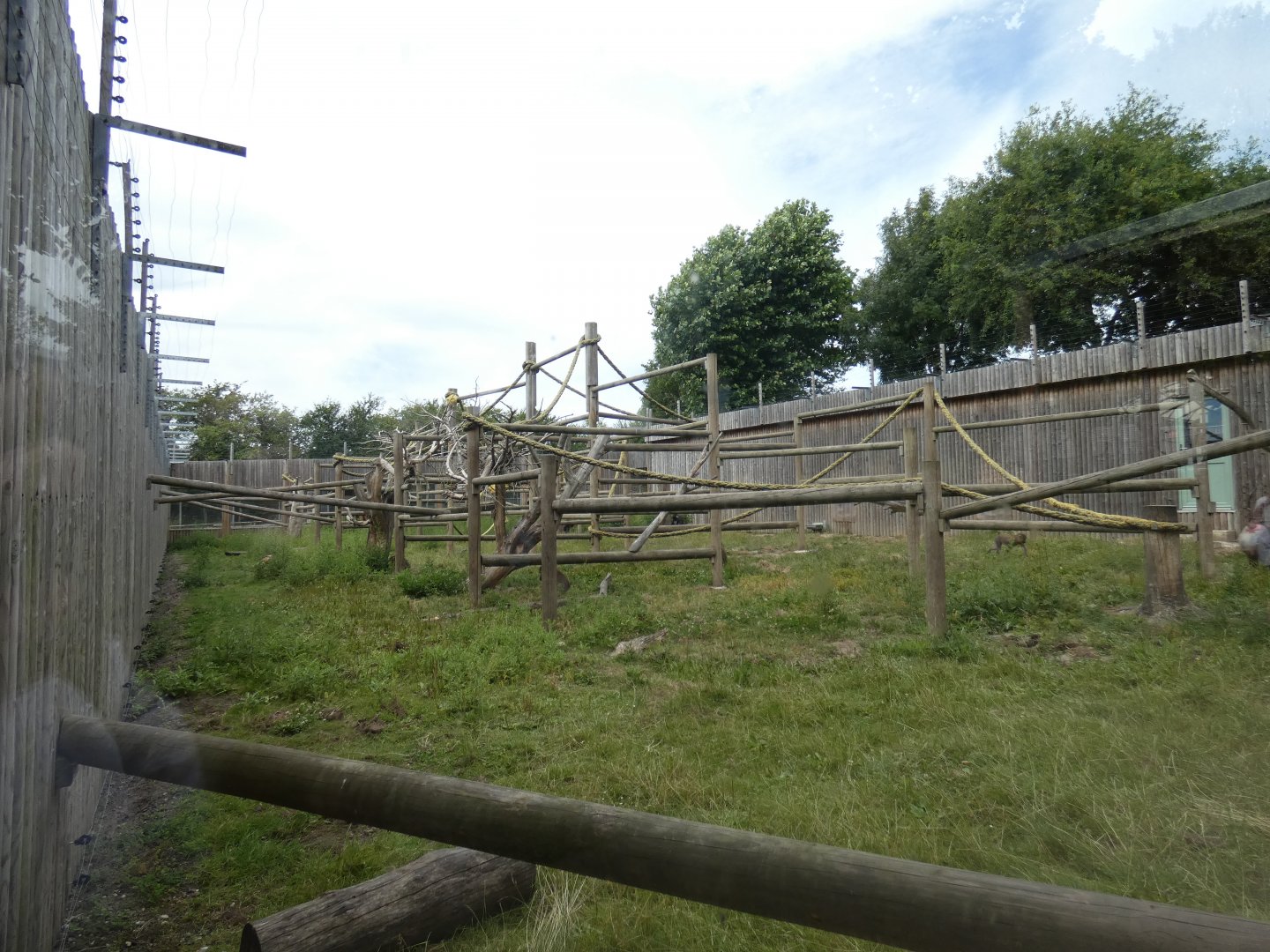 Mandrill outdoor enclosure