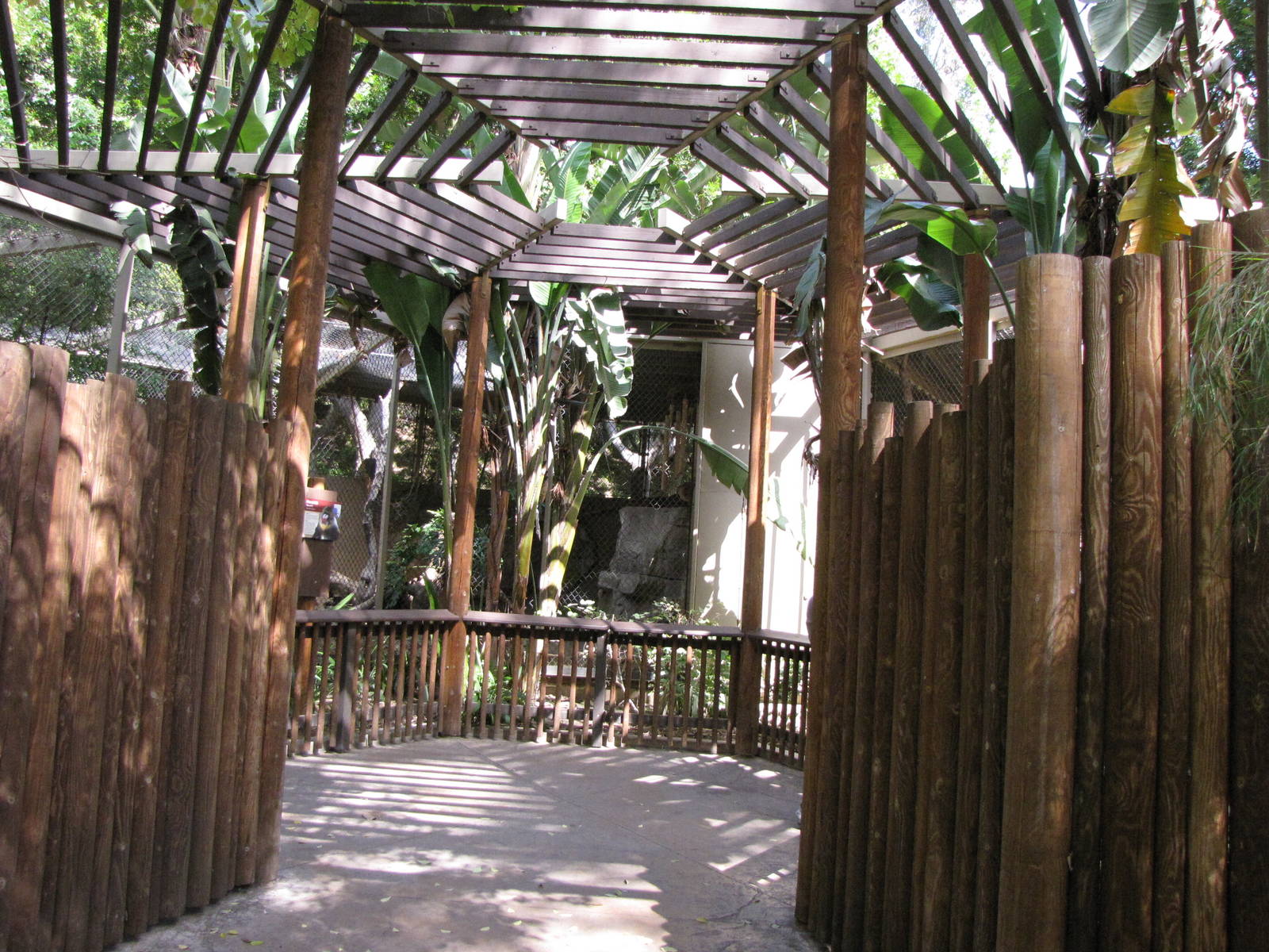 Mandrill Roundhouse Enclosure