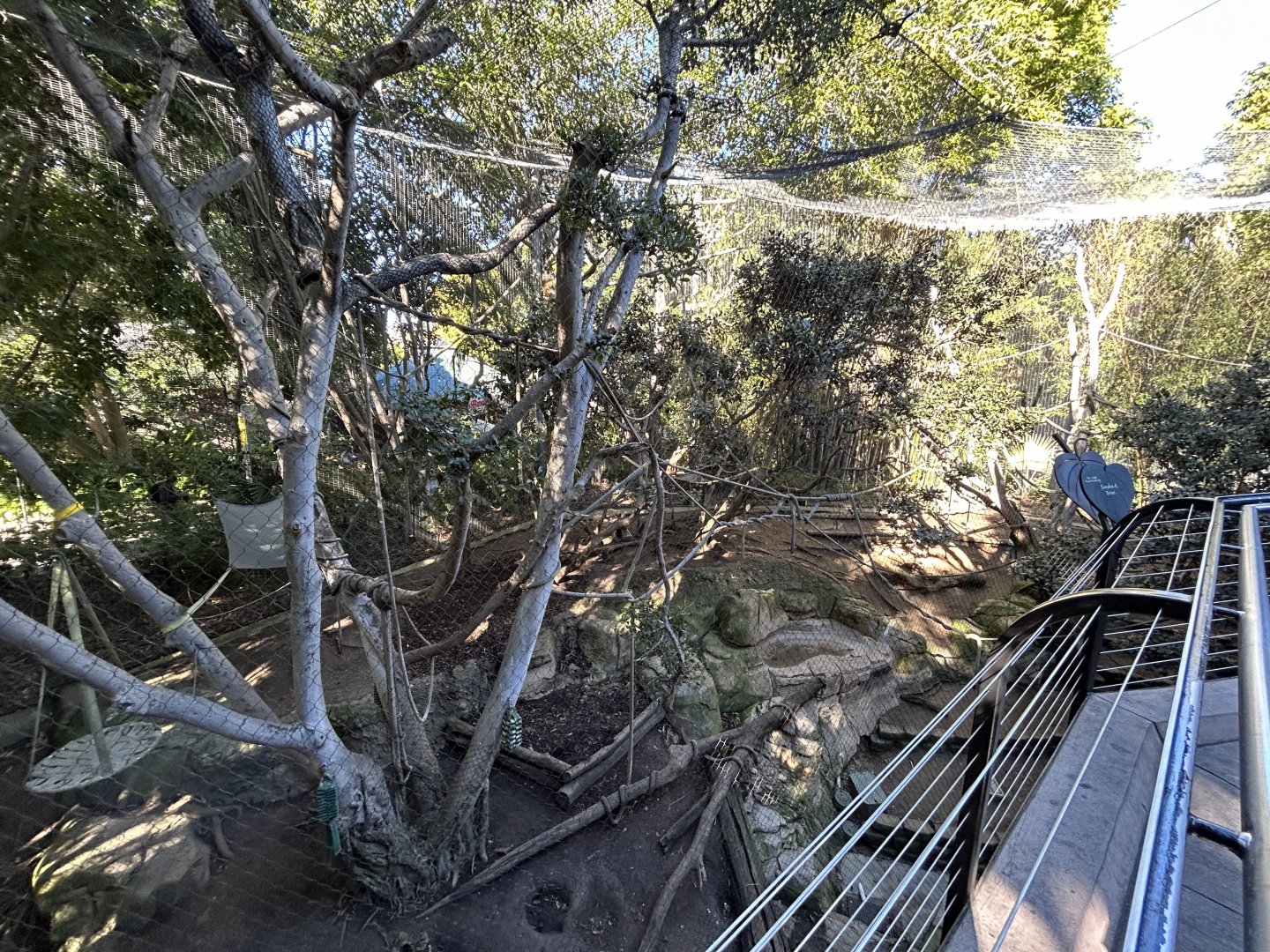 Mandrill & Schmidts Red-tailed Monkey Exhibit - Monkey Trails & Forest Tales