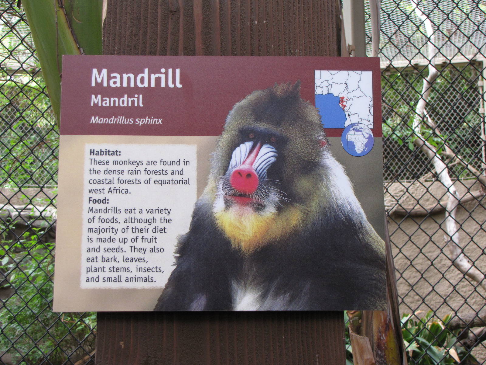 Mandrill Sign
