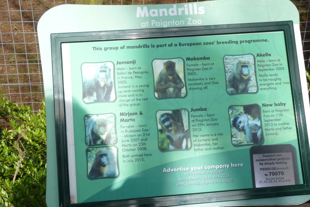 Mandrill signage, 2014