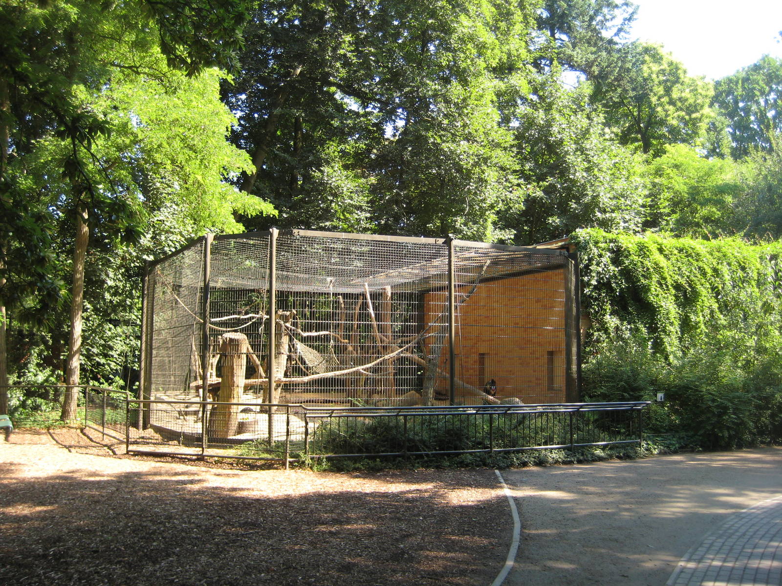 Mandrill utdoor cage