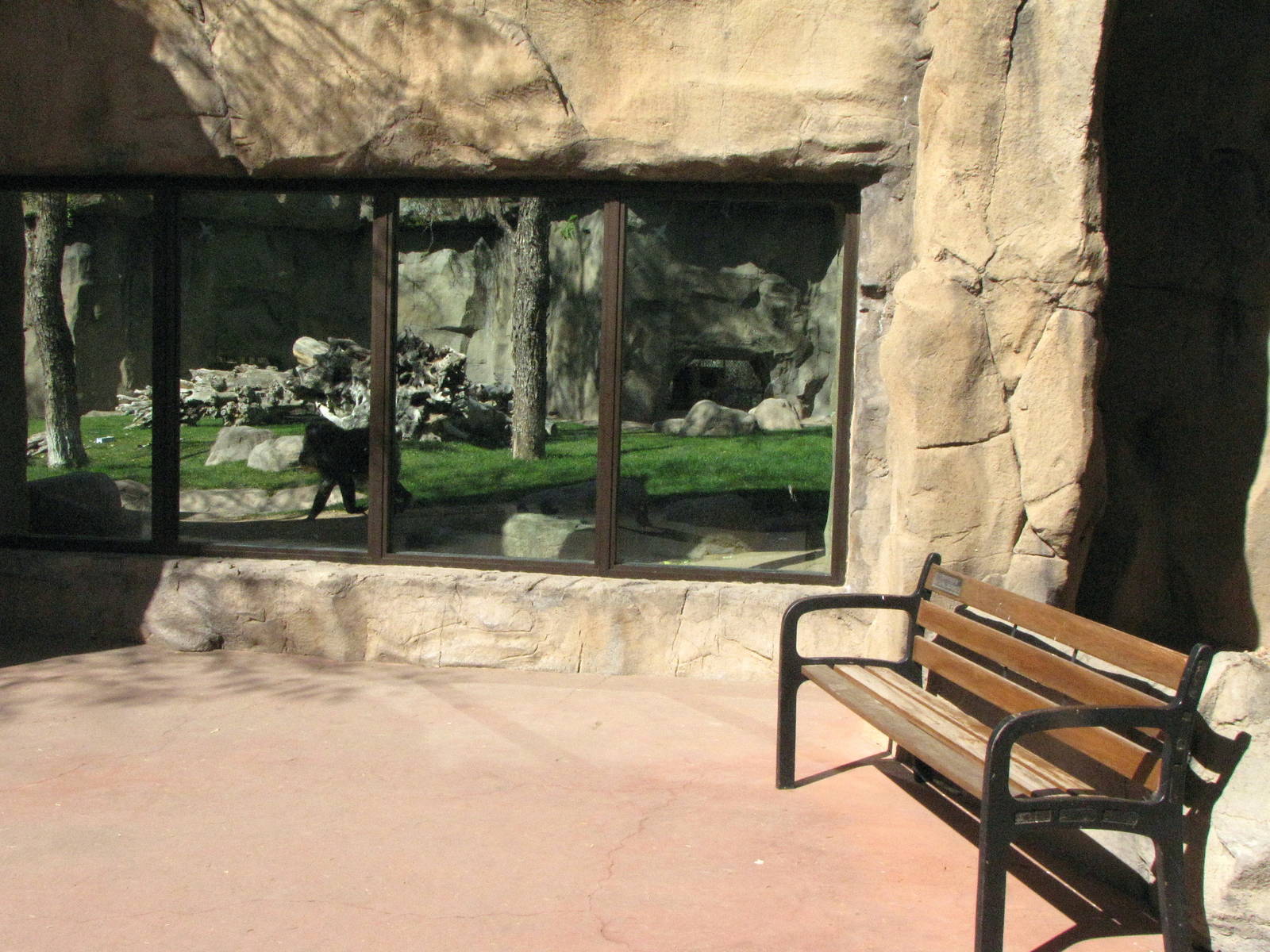 Mandrill Viewing Window