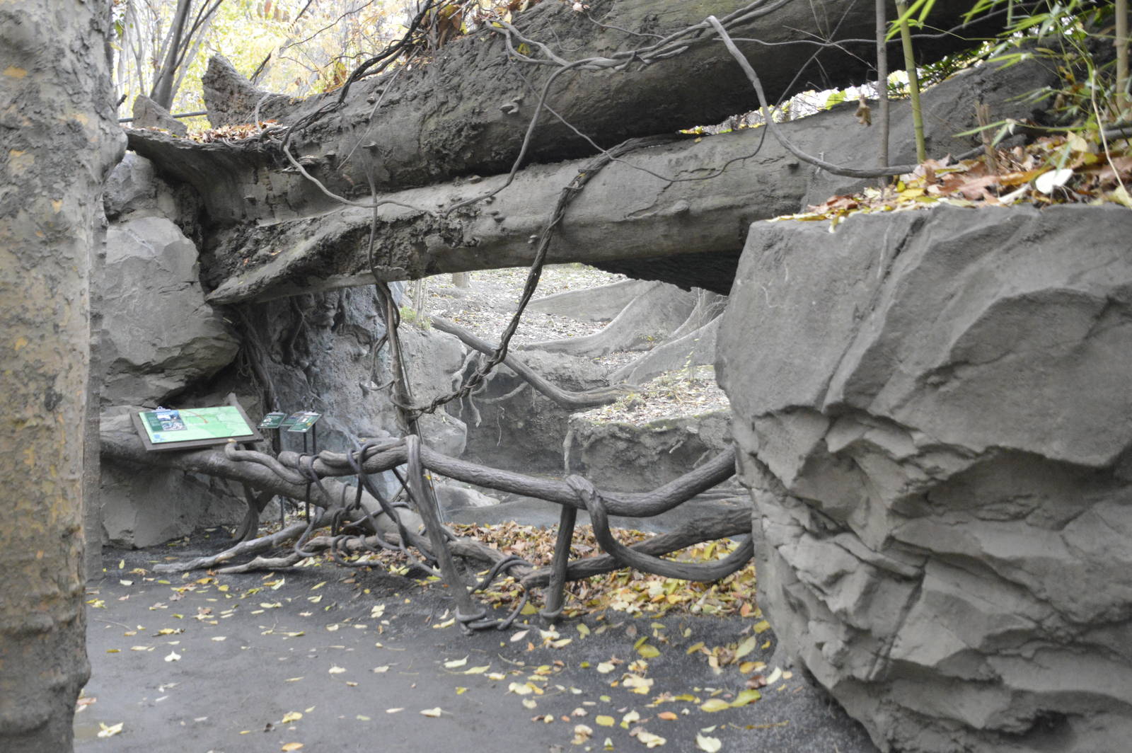 Mandrill window 031215