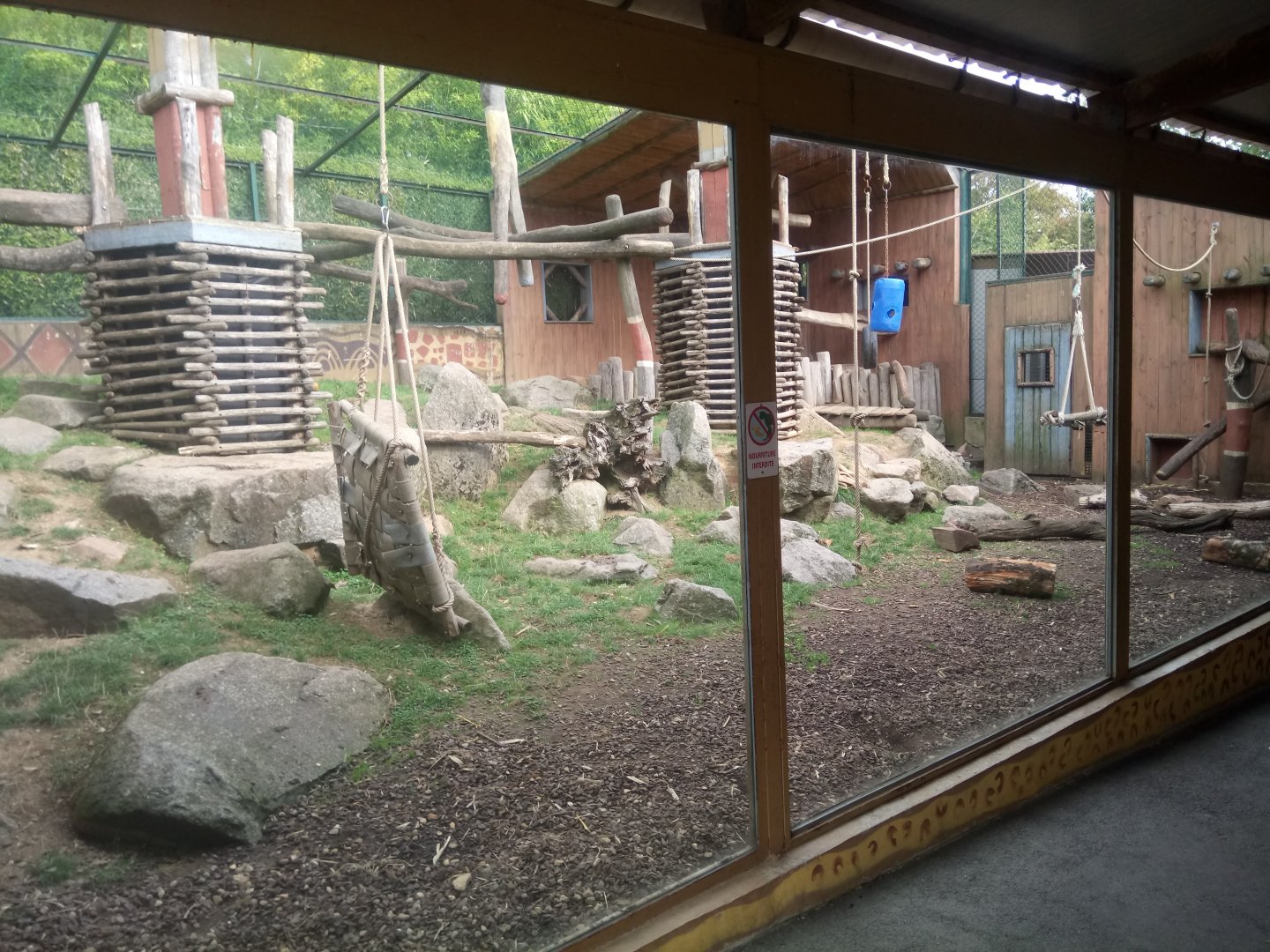 Mandrills Outdoor Exhibit