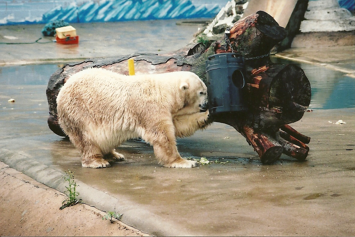 Mandy 13th September 2001