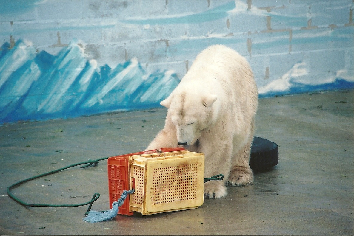 Mandy 13th September 2001