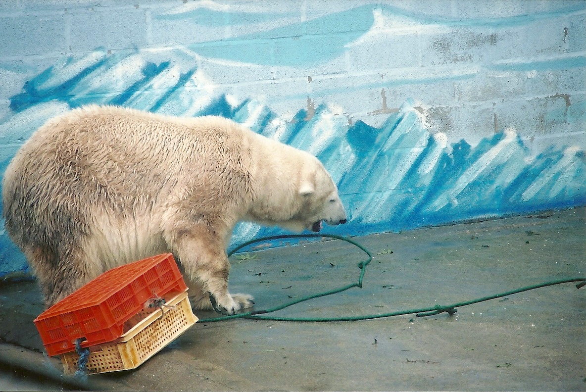 Mandy 13th September 2001