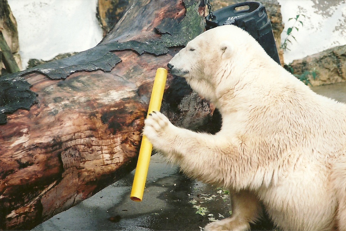 Mandy 13th September 2001