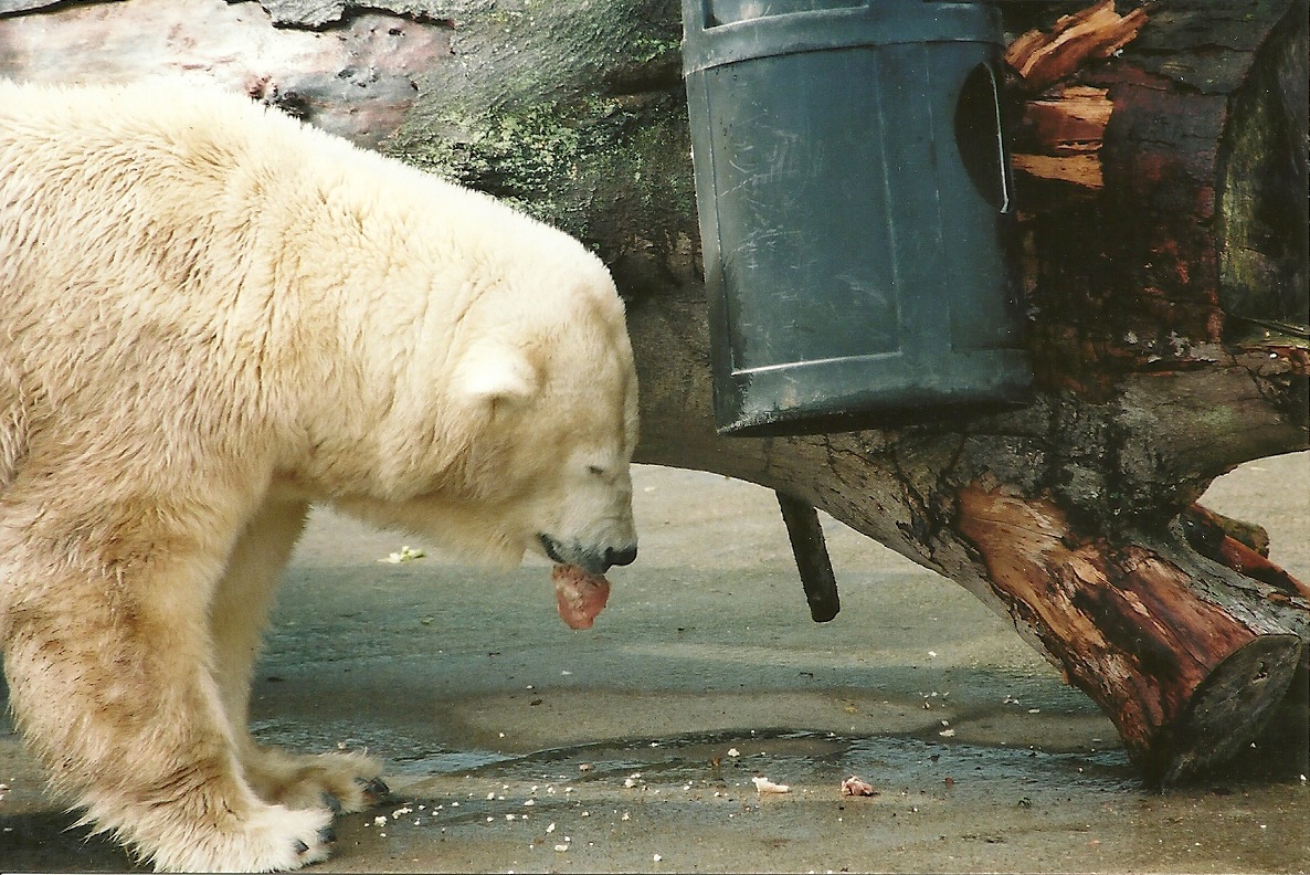 Mandy 13th September 2001