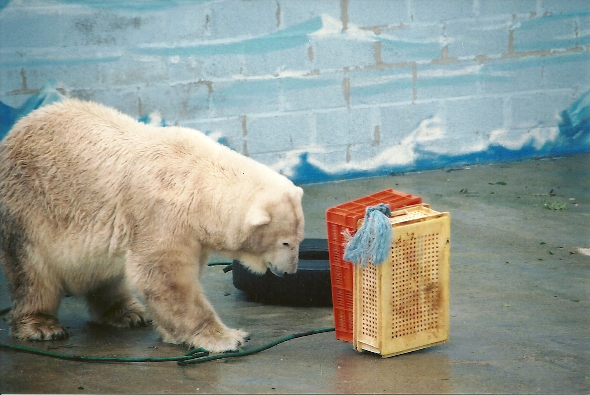 Mandy 13th September 2001