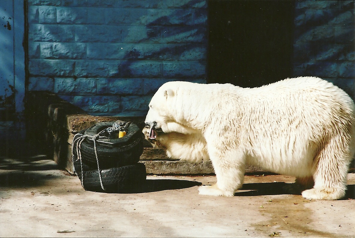 Mandy 14th September 2001