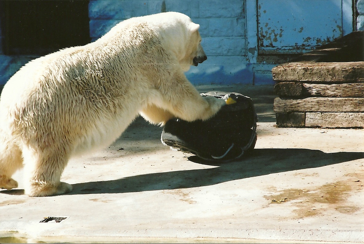 Mandy 14th September 2001