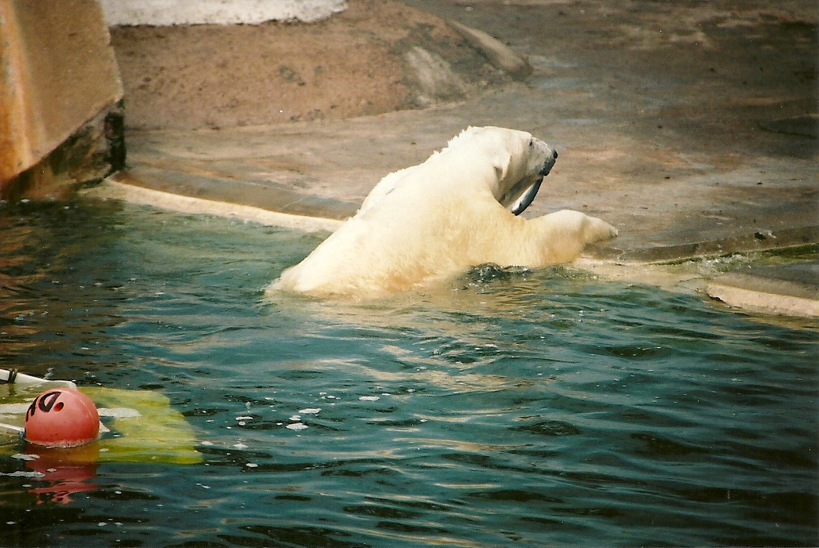 Mandy 14th September 2001