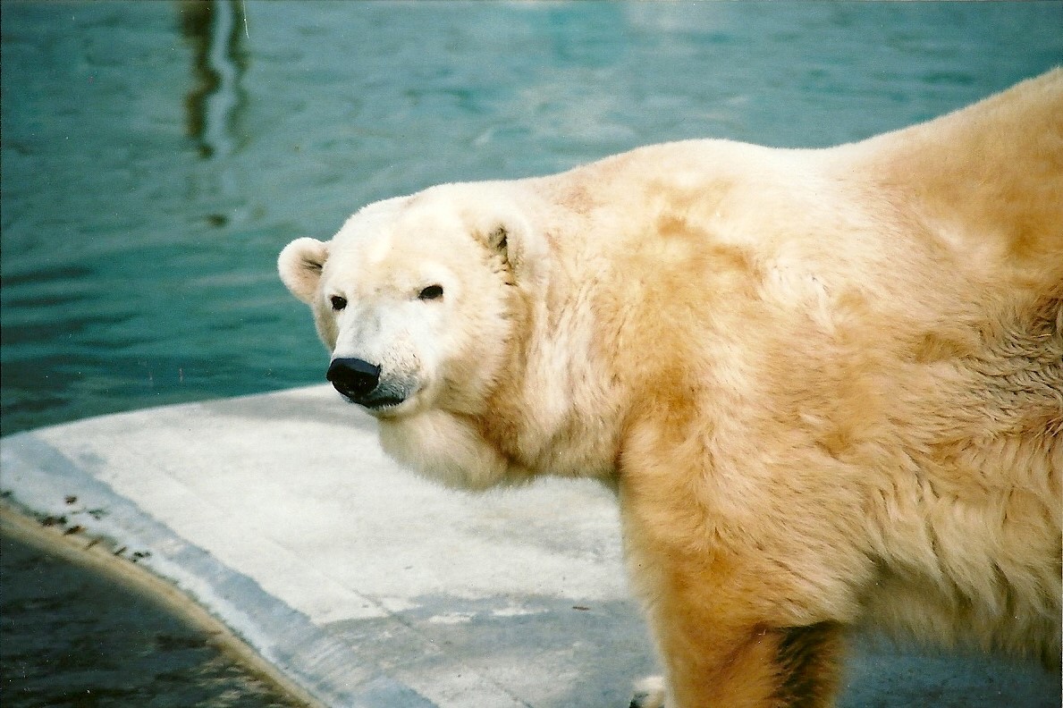 Mandy, 16th December 2000