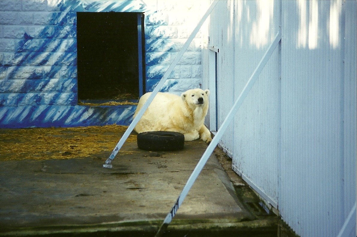 Mandy 16th January 1999