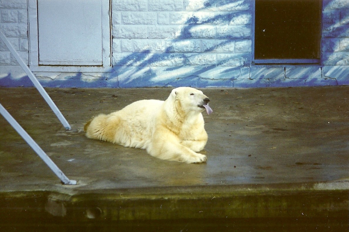 Mandy 16th January 1999