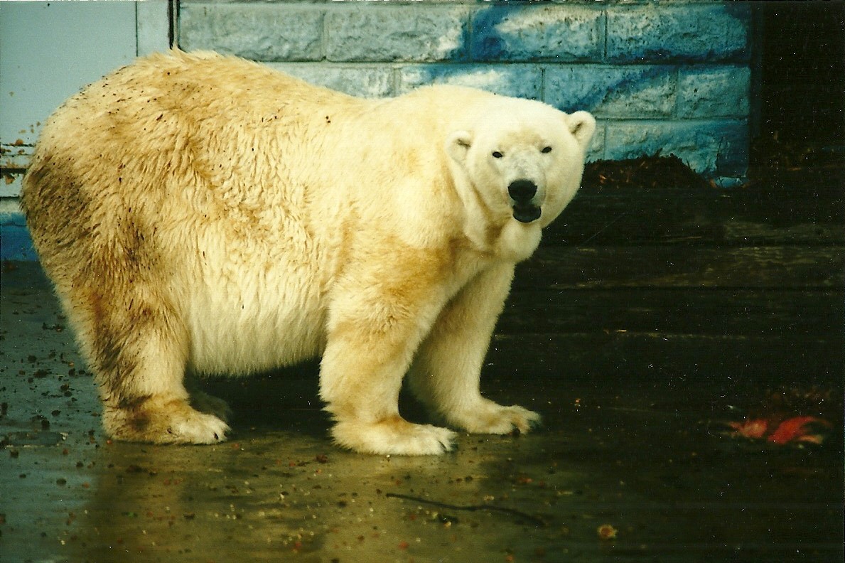 Mandy 19th August 2000