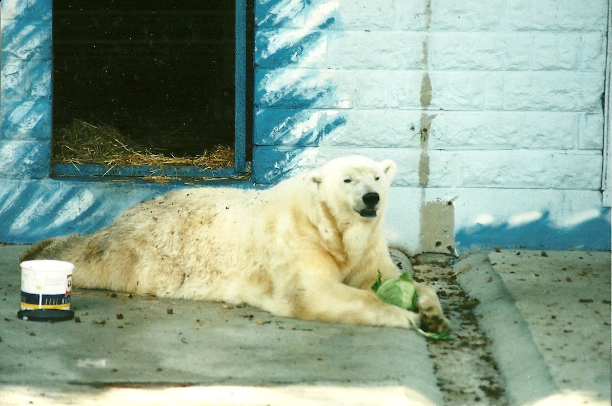 Mandy, 19th August 2000