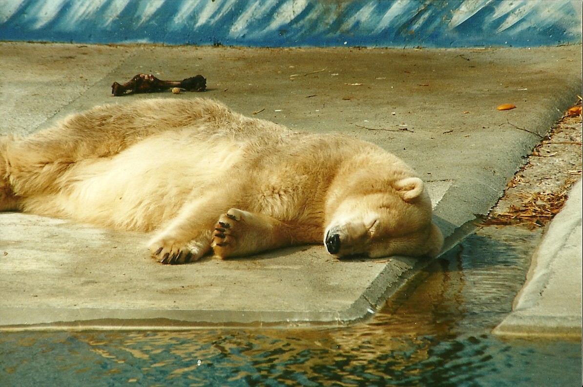 Mandy 1st April 2000